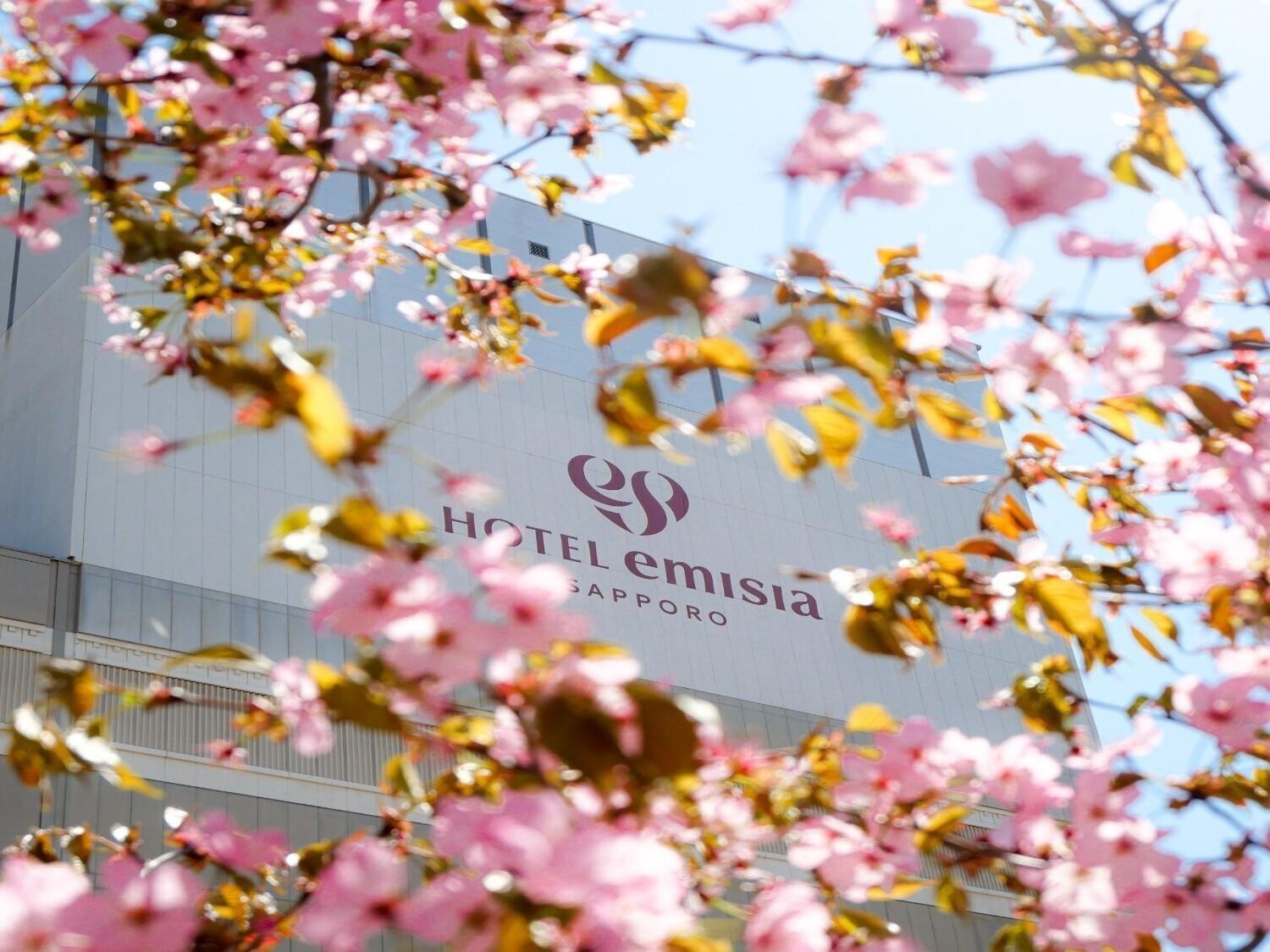 Hotel Emisia Sapporo Luaran gambar